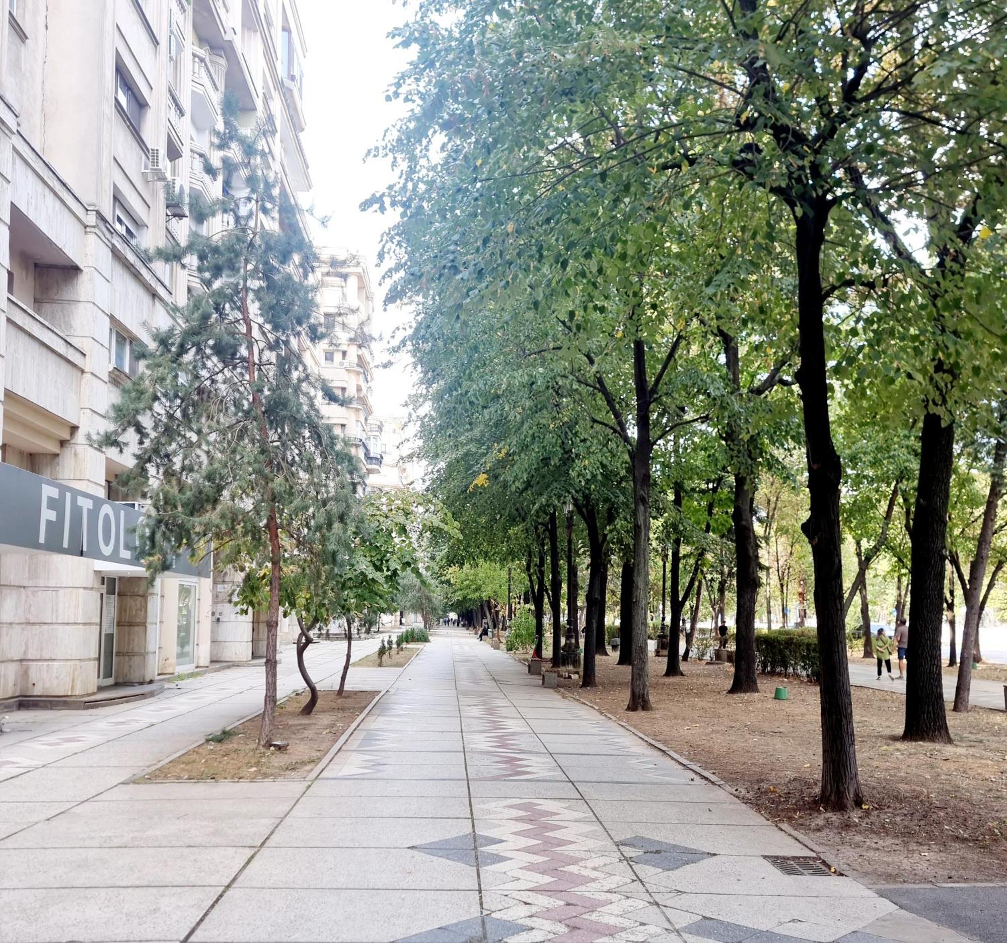 Tranquil Unirii Residence - Elegant & Spacious Living With Parking Steps From Parliament Bukarest Exteriör bild